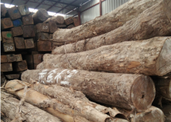 【進口案例】黑酸枝進口報關手續(xù)及流程解讀